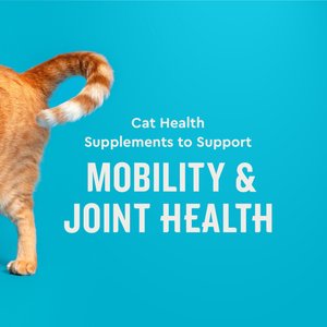 VetIQ Chicken Flavored Chew Hip & Joint Supplement for Cats, 3.7-oz bag