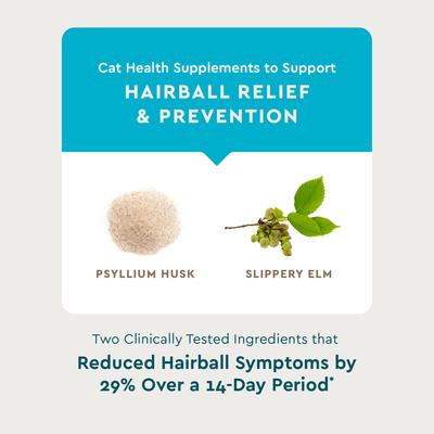 Show full view: VetIQ Chicken Flavored Chew Hairball Supplement for Cats, 3.7-oz bag slide 3 of 10