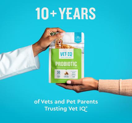 Show full view: VetIQ Chicken Flavored Chew Probiotic Supplement for Cats, 3.7-oz bag slide 6 of 11