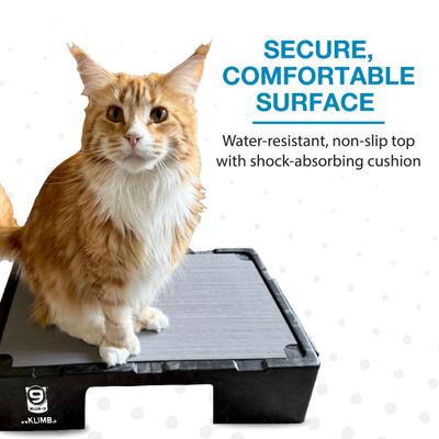 Show full view: Blue-9 KLIMB Jr. Professionally Designed Dog Training Platform, Black slide 6 of 10