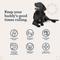 Show in main carousel: Kradle Broad Spectrum Hemp Extract Beef Liver Flavor Hip & Joint Chews Supplement for Dogs, 90 count slide 4 of 11