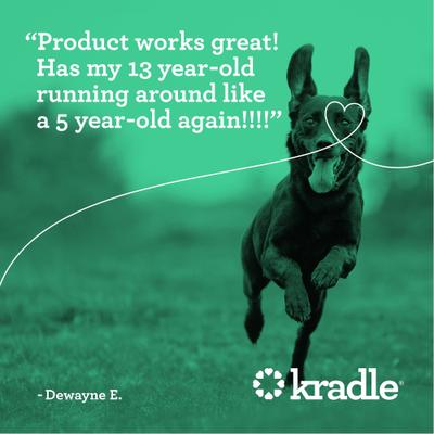 Show full view: Kradle Broad Spectrum Hemp Extract Beef Liver Flavor Hip & Joint Chews Supplement for Dogs, 90 count slide 8 of 11