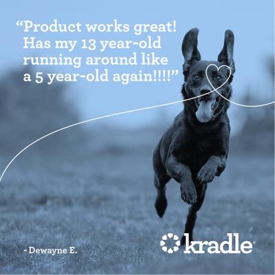 Show full view: Kradle Hip & Joint Beef Flavored Chew Supplement for Dogs, 75 count slide 7 of 12