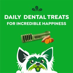 Greenies Teenie Sweet Potato Natural Small Dental Dog Treats, 43 count slide 2 of 9