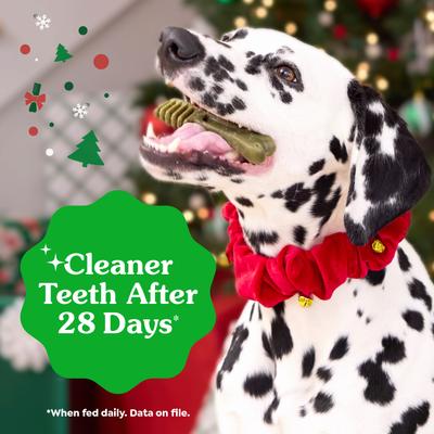 Show full view: Greenies Petite Gingerbread Flavor Dental Dog Treats, 10 count slide 6 of 10