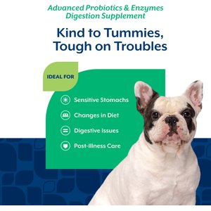 NaturVet Advanced Probiotics & Enzymes Plus Vet Strength PB6 Probiotic Soft Chews Digestive Supplement for Dogs, 120 count