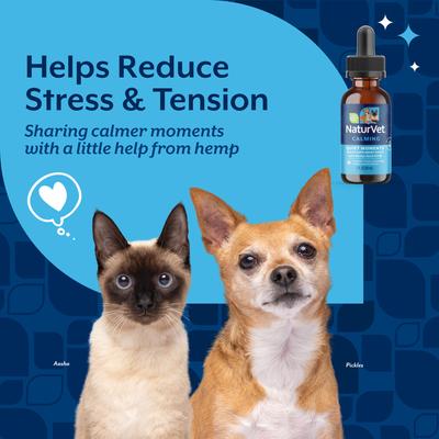Show full view: NaturVet Quiet Moments with Hemp Seed Oil Calming Bacon Flavored Liquid Supplement Drops for Dogs & Cats, 1-fl oz bottle slide 4 of 9