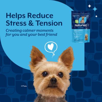 Show full view: NaturVet Quiet Moments Plus Melatonin Soft Chews Calming Supplement for Dogs, 130 count slide 4 of 9