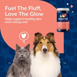 NaturVet Brewers Dried Yeast with Vitamins Skin & Coat Supplement for Dogs & Cats, 1-lb jar slide 2 of 6