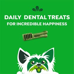 Greenies Aging Care Natural Teenie Dental Dog Treats, 96 count slide 2 of 9