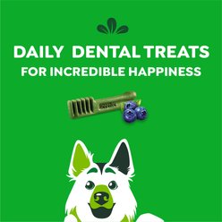 Greenies Blueberry Large Dental Dog Treats, 8 count slide 2 of 9