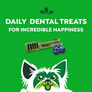Greenies Blueberry Teenie Dental Dog Treats, 43 count