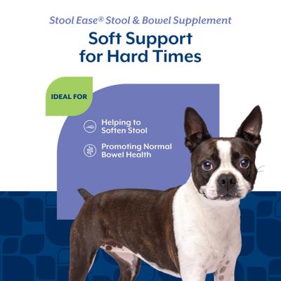 Show full view: NaturVet Stool Ease Soft Chews Digestive Supplement for Dogs, 40 count slide 5 of 11