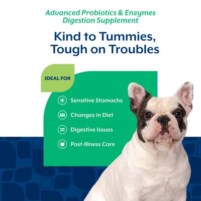 Show full view: NaturVet Advanced Probiotics & Enzymes Plus Vet Strength PB6 Probiotic Soft Chews Digestive Supplement for Dogs, 240 count slide 5 of 12