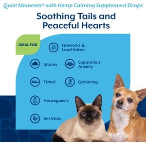 NaturVet Quiet Moments with Hemp Seed Oil Bacon Flavored Calming Supplement Drops for Dogs & Cats, 1-fl oz bottle