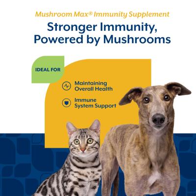 Show full view: NaturVet Mushroom Max Immunity Hickory Smoked Bacon Flavored Supplement for Dogs & Cats, 60 count slide 5 of 9
