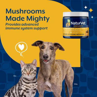 Show full view: NaturVet Mushroom Max Immunity Hickory Smoked Bacon Flavored Supplement for Dogs & Cats, 60 count slide 4 of 9