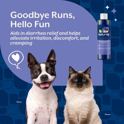 Show full view: NaturVet Anti-Diarrhea Diarrhea Aid + Kaolin for Dogs & Cats, 8-fl oz bottle slide 4 of 9