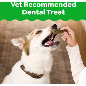 Greenies Petite Natural Original Chicken Flavor Dental Dog Treats, 60 count