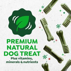 Greenies Regular Gingerbread Flavor Dental Dog Treats, 6 count slide 2 of 9