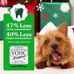 Greenies Petite Gingerbread Flavor Dental Dog Treats, 10 count slide 2 of 9