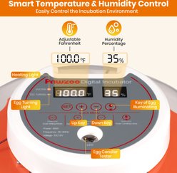 Pawzoo Automatic 18/60 Chicken Egg Incubator slide 2 of 8