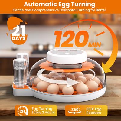Show full view: Pawzoo Automatic 18/60 Chicken Egg Incubator slide 3 of 8
