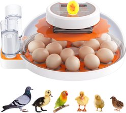 Pawzoo Automatic 18/60 Chicken Egg Incubator slide 1 of 8