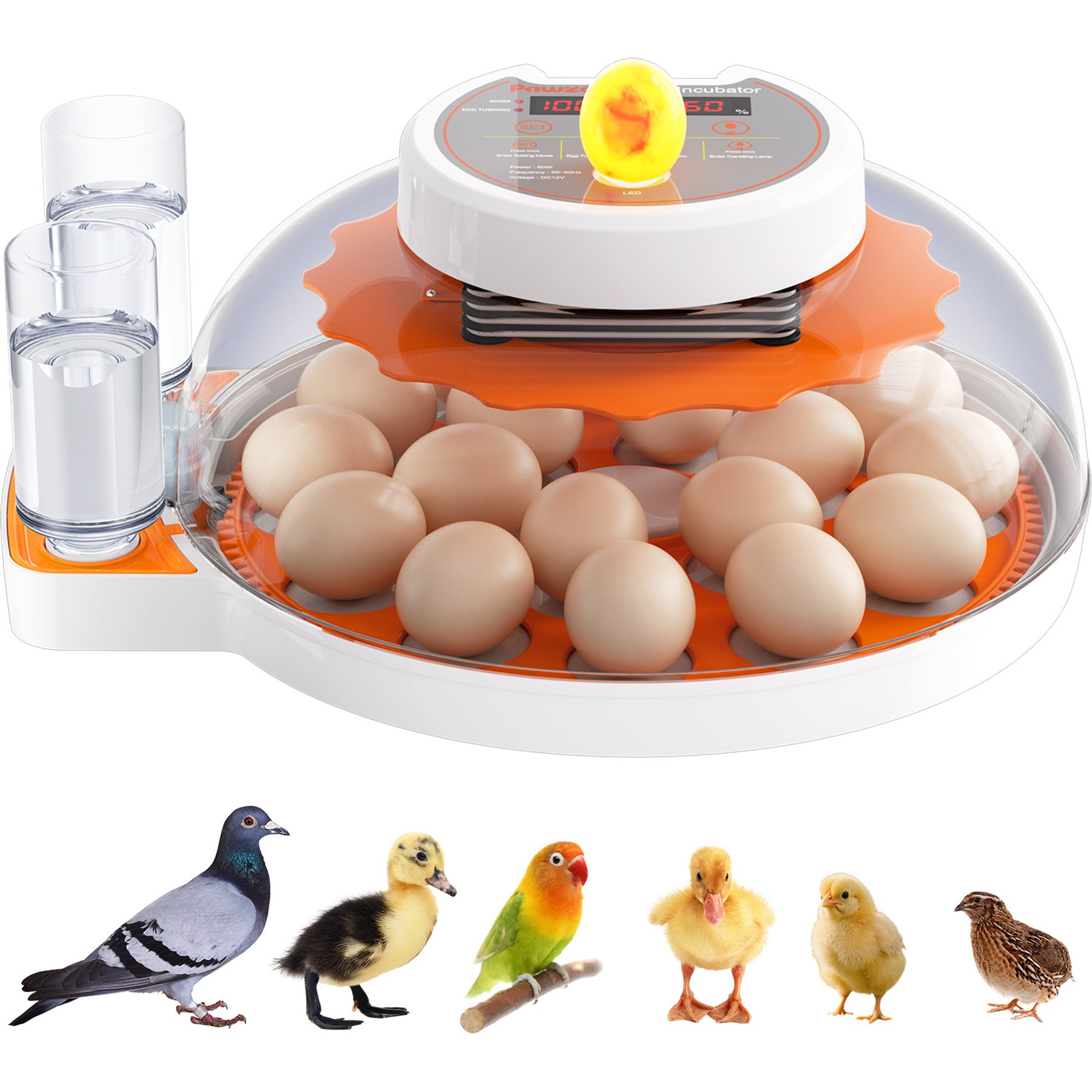 Pawzoo Automatic 18/60 Chicken Egg Incubator