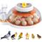 Show in main carousel: Pawzoo Automatic 18/60 Chicken Egg Incubator slide 1 of 8