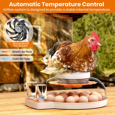 Show full view: Pawzoo Automatic 18/60 Chicken Egg Incubator slide 2 of 8