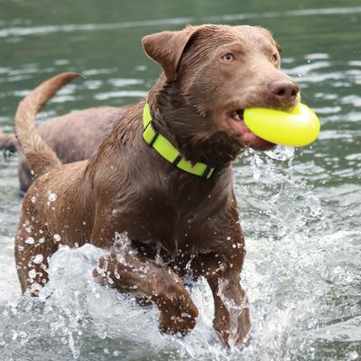 Show full view: Ruff Dawg Dawg-Nut Dog Chew Toy, Yellow, X-Large slide 4 of 4