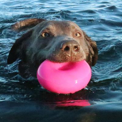 Show full view: Ruff Dawg Dawg-Nut Dog Chew Toy, Pink, X-Large slide 5 of 5