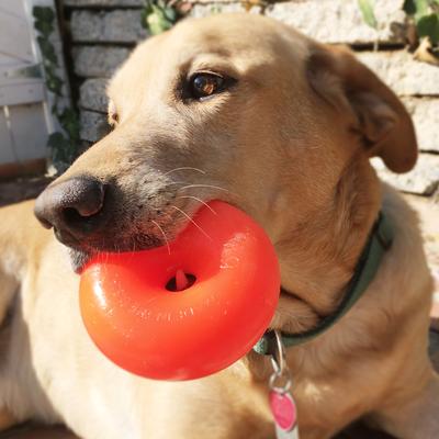 Show full view: Ruff Dawg Dawg-Nut Dog Chew Toy, Orange, X-Large slide 4 of 5