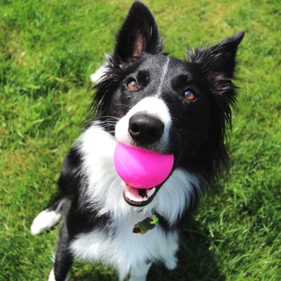 Show full view: Ruff Dawg Ball Tough Dog Chew Toy, Pink, Small slide 5 of 5