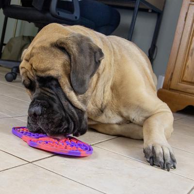 Show full view: Brightkins Tie Dye Ice Cream Non-Skid Silicone Dog Lick Mat, Multicolor, Medium slide 7 of 10