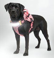 Lumi Pawtners Lumi One Dog Harness, Pink, Large: 16 to 29-in chest