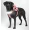 Show in main carousel: Lumi Pawtners Lumi One Dog Harness, Pink, Large: 16 to 29-in chest slide 1 of 12