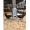 Show in main carousel: RUGG'egg' RANCH Silo Chicken Feeder slide 4 of 4