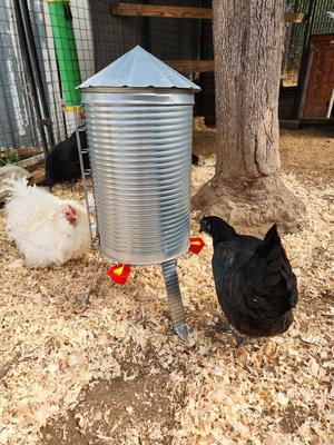 Show full view: RUGG'egg' RANCH Silo Chicken Waterer slide 4 of 4
