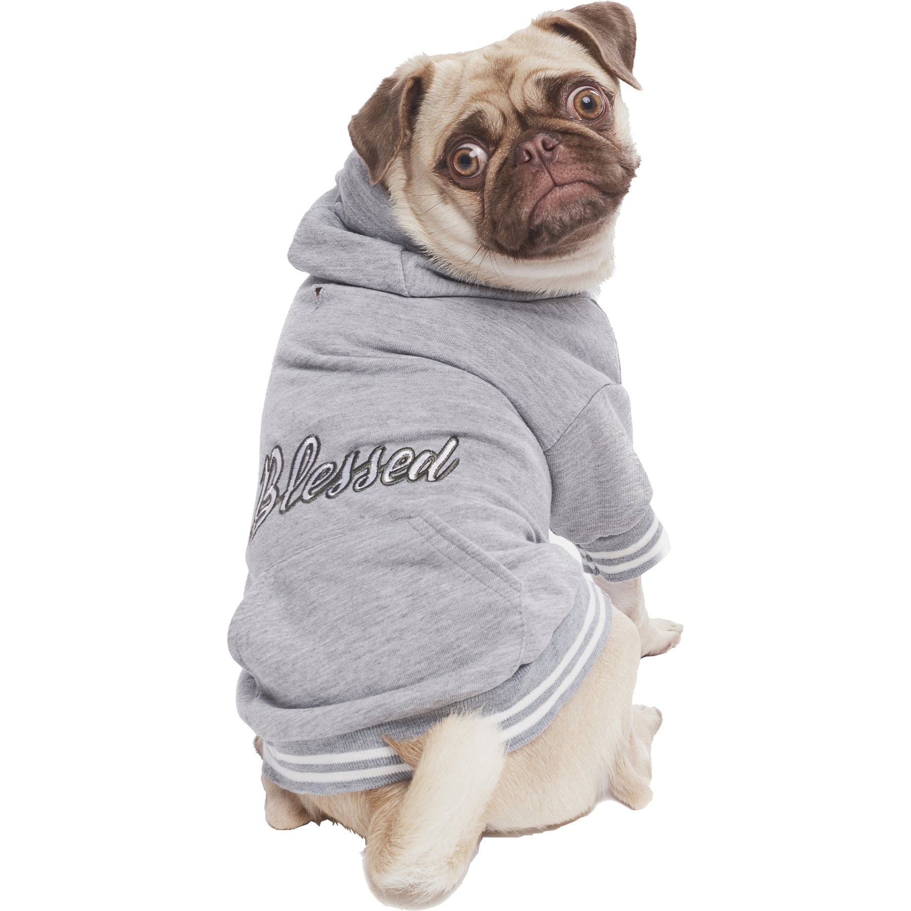 Parisian Pet Blessed Embroidered Cozy Fleece Pullover Dog Hoodie, Gray, X-Small