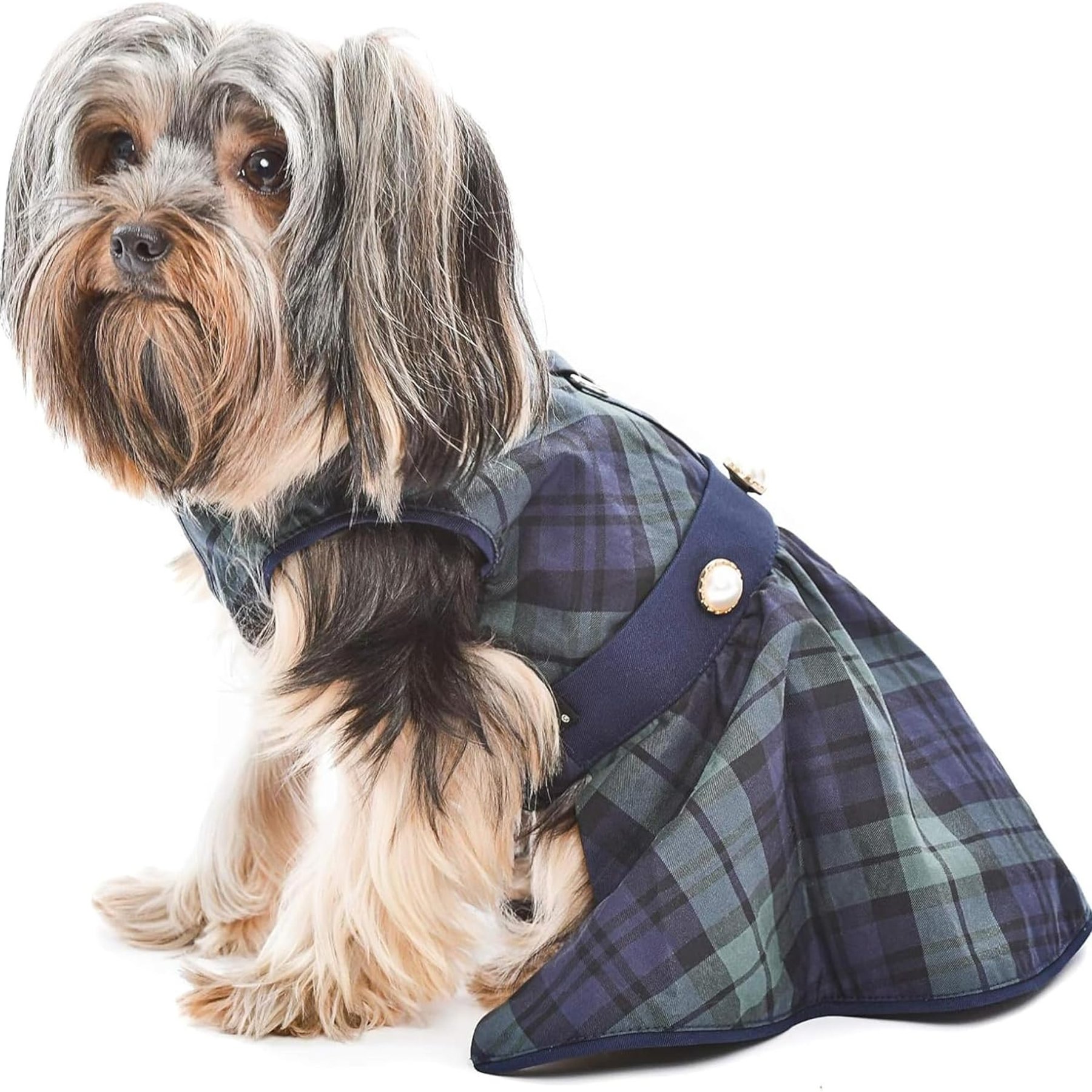 Parisian Pet Scottish Taffeta Dress Plaid Dog Gown, Green & Blue, Small