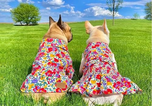 Show full view: Parisian Pet Floral Artsy Ruched Waist Dress Elegant Summer Dog Gown, Small slide 3 of 5