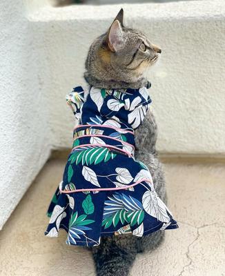 Show full view: Parisian Pet Palm Leaves Dress Tropical Dog Outfit, Navy & Pink, XX-Large slide 3 of 5