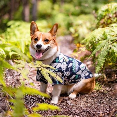 Show full view: Parisian Pet Palm Leaves Camp Shirt Tropical Cotton Dog & Cat Tee, Small slide 3 of 5