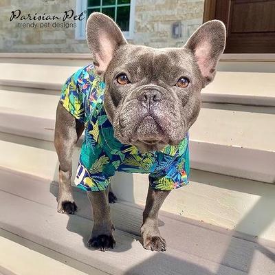 Show full view: Parisian Pet Amazonia Tropical Camp Shirt Vibrant Leaf Cotton Dog Tee, Green, Small slide 3 of 5