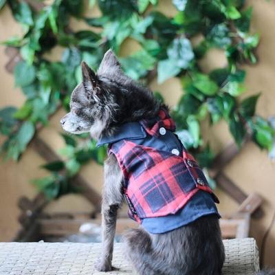 Show full view: Parisian Pet Scottish Pleated Tuxedo Plaid Formal Dog Jacket, Red & Blue, X-Large slide 3 of 5