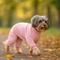 Show in main carousel: Parisian Pet Velour Pajama Blush Luxury Cotton Dog & Cat Sleepwear, Pink, Large slide 4 of 6
