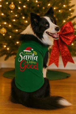 Show full view: Parisian Pet Dear Santa Define Good Embroidered Holiday Dog Tee, Large slide 3 of 5