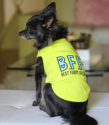Show full view: Parisian Pet BFF Embroidered Cotton Best Furry Friend Dog T-Shirt, Green, Small slide 3 of 5